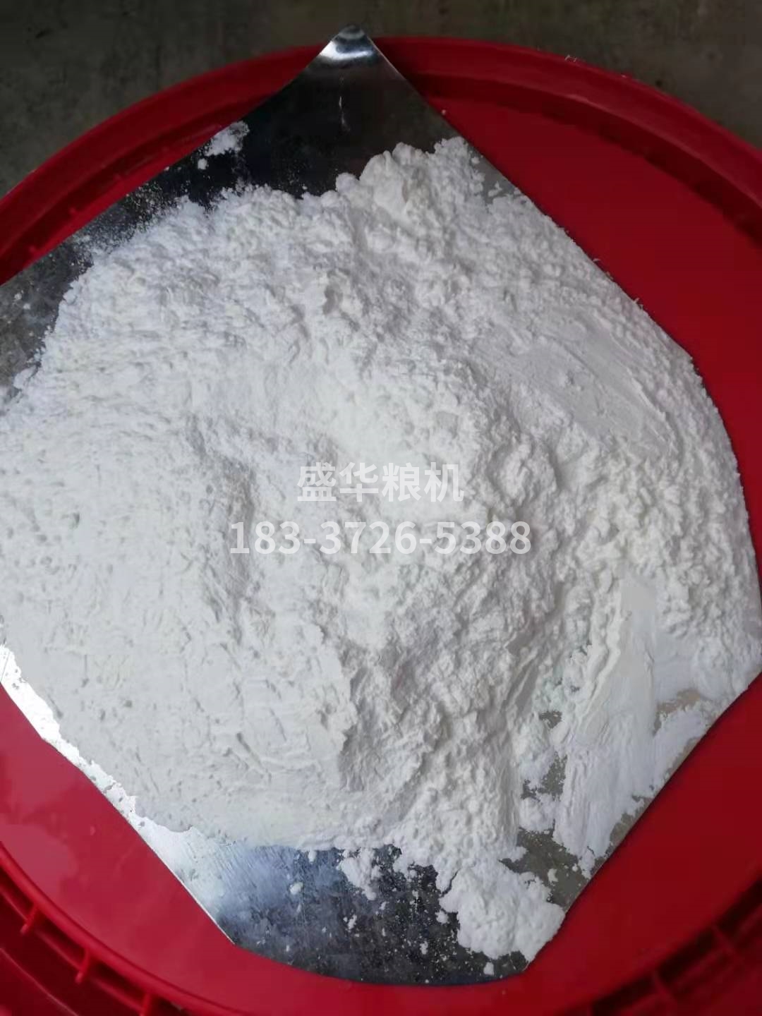 玉米面，玉米顆粒樣品