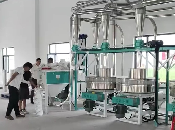 河北黃驊四加二石磨面粉機生產(chǎn)線